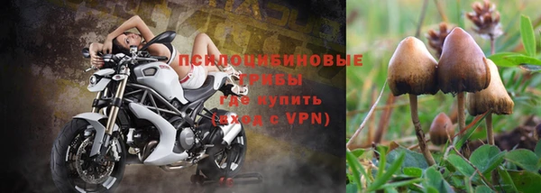 прущая мука Михайлов
