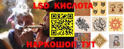 скорость Краснознаменск