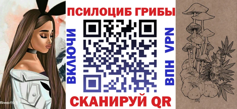 Псилоцибиновые грибы Cubensis  Кисловодск 