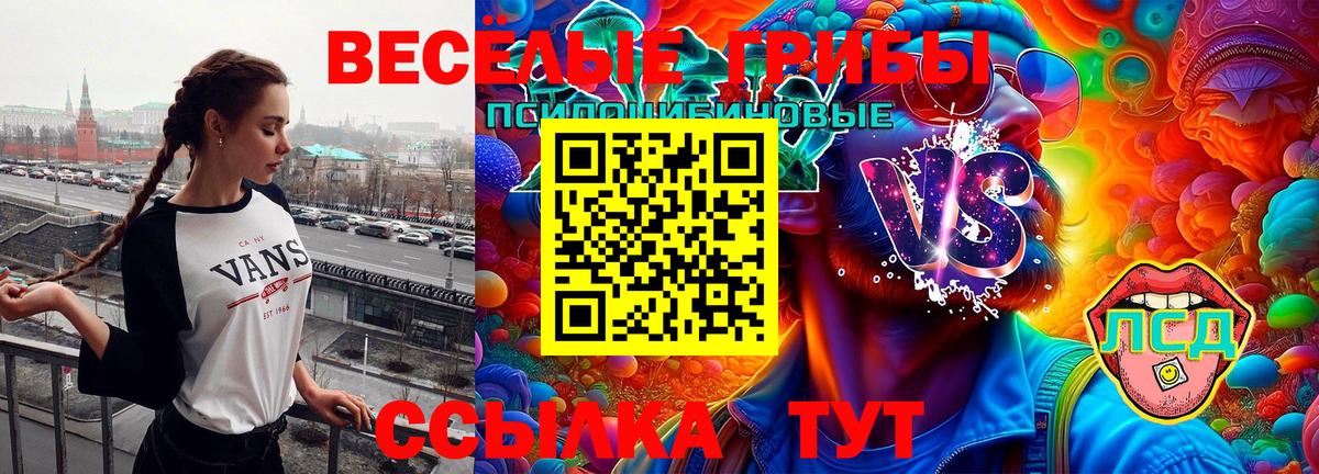 Псилоцибиновые грибы GOLDEN TEACHER  Вход с VPN  Кисловодск  Галлюциногенные грибы Cubensis 
