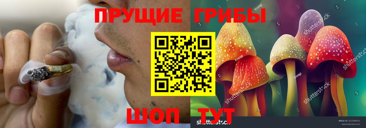 Галлюциногенные грибы мухоморы Кисловодск