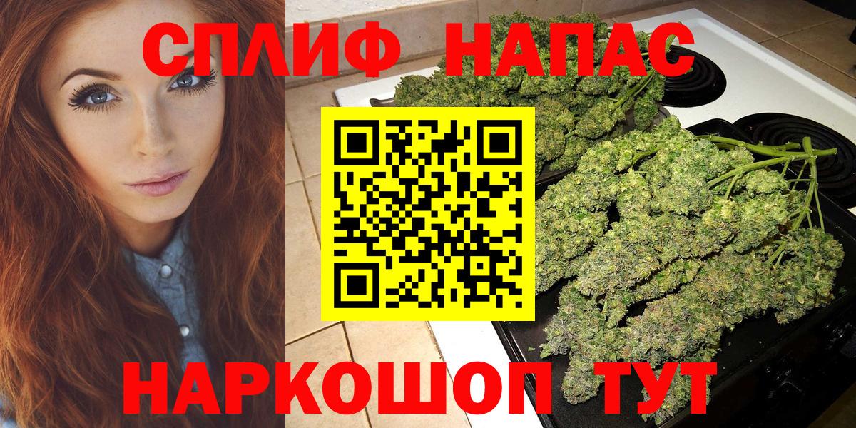 Конопля ГИДРОПОН Кисловодск